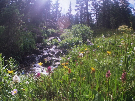 Lower Parika Lake